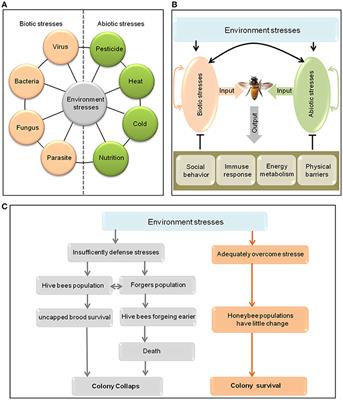 The Wisdom of Honeybee Defenses Against Environmental Stresses